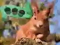 لعبة Birch Forest Adventure على الانترنت