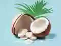 لعبة Coloring Book: Coconut على الانترنت
