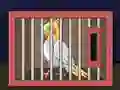 لعبة Release The Cockatiel Bird على الانترنت