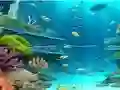 لعبة Jigsaw Puzzle: Under Sea على الانترنت