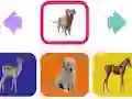 لعبة Baby Animal على الانترنت