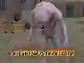 لعبة Highwarrior على الانترنت