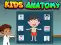 لعبة Kids Anatomy على الانترنت
