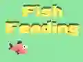 لعبة Fish Feeding على الانترنت