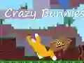 لعبة Crazy Bunnies على الانترنت