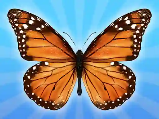 لعبة MergeButerfly: 2048! على الانترنت