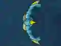 لعبة Dangers Of The Deep على الانترنت