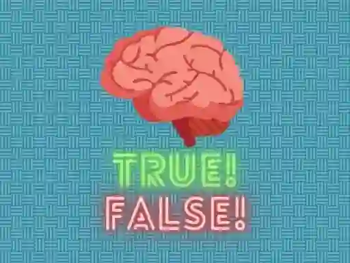 لعبة True! False! على الانترنت