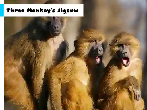 لعبة Three Monkey's Jigsaw على الانترنت